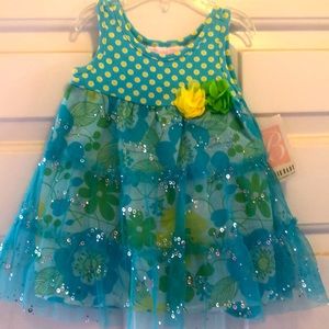 NWT! Precious! Baby Girls Dress by Bonnie Baby! Size 12 months!